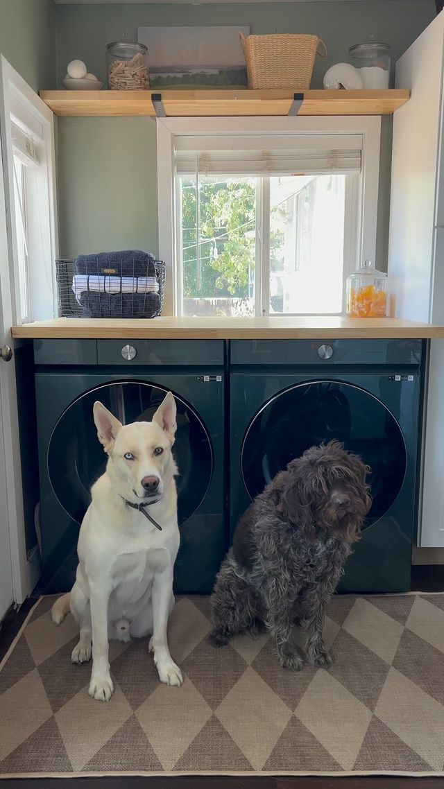 Instagram post by @emilyeveryday for JustFoodForDogs. Caption reads: Fresh meals = happy pups. Theo and Emmy love....