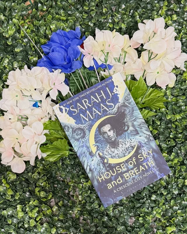 Instagram post by @reading.with.mama.kenna for Tandem Collective. Caption reads: [...] you to the author @sarahjmaas,....