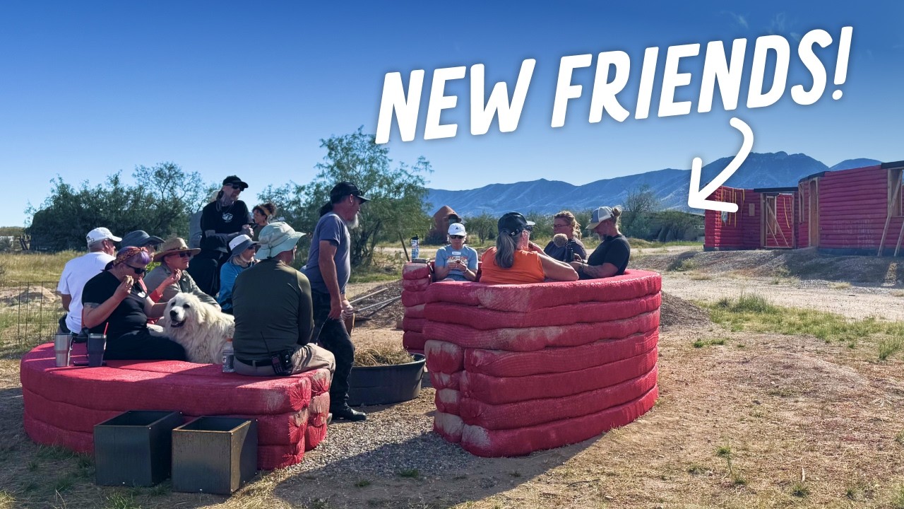 YouTube post by @TinyShinyHome for Reolink. Caption reads: People are Visiting our Desert Just to See These....