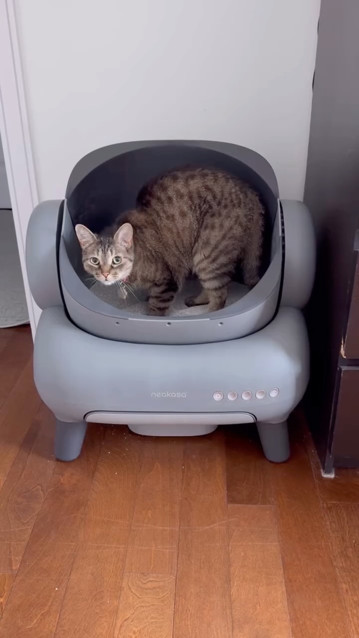 Instagram post by @bellabellarda for Neakasa. Caption reads: Hi everyone! Just stopping by to say that I really....