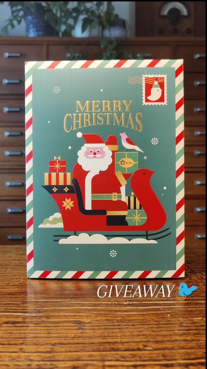 Instagram post by @once_upon_a_forest for Birdfy. Caption reads: GIVEAWAY Birdfy Bird Feeder Camera. Watch your....