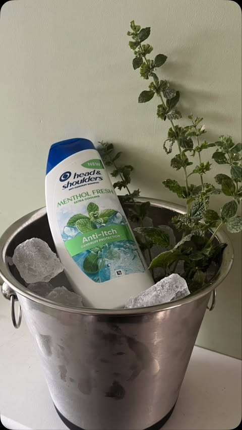 Instagram post by @sessiebee.tests for SuperSavvyMe. Caption reads: The New Head & Shoulders Menthol fresh with....