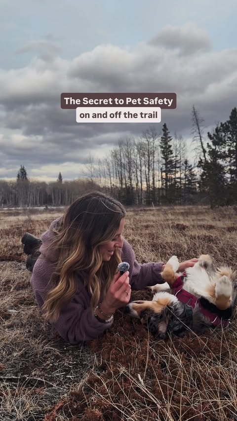 Instagram post by @shewandersearth for Tractive. Caption reads: [...] that… AirTags are for keys. Tractive is for....