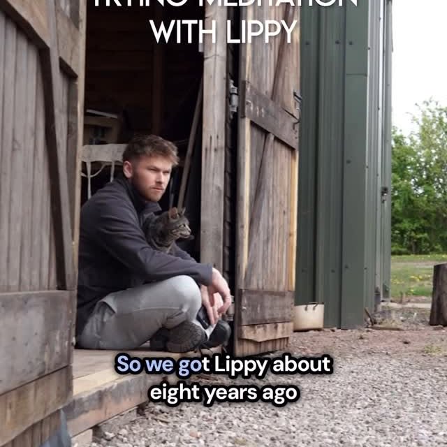 Instagram post by @harryandlippy for Calm. Caption reads: [...] me and Lippy featuring the new Mars x Calm....