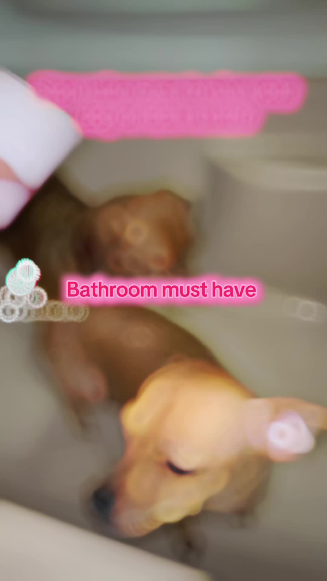 TikTok post by @sparklefairy092 for Rinseroo. Caption reads: Bathroom must have.                         Stop....
