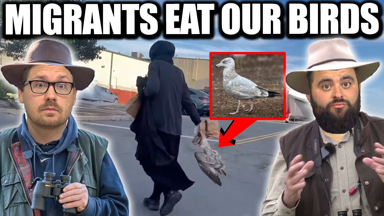 YouTube post by @FleccasTalks for MASA Chips. Caption reads: Massachusetts Migrant Caught Eating Our Sea Birds....