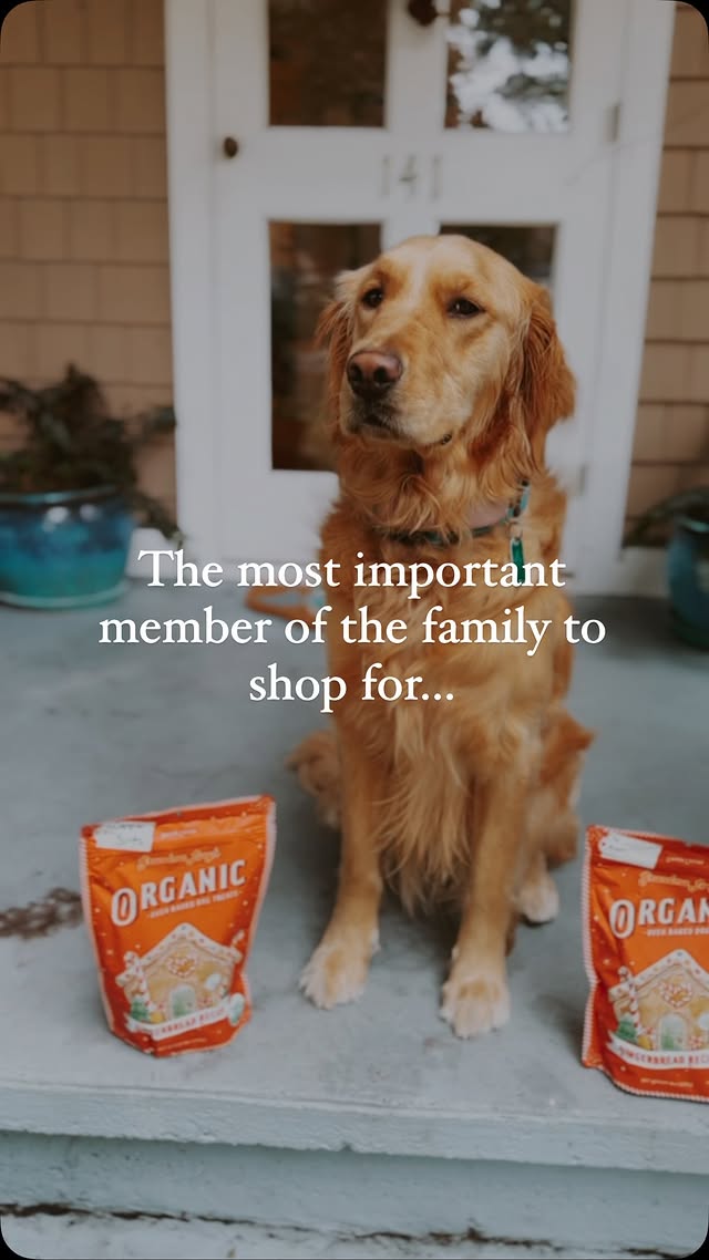 Instagram post by @littlesprout.greenhouse for Grandma Lucy's. Caption reads: [...] special this holiday season with....