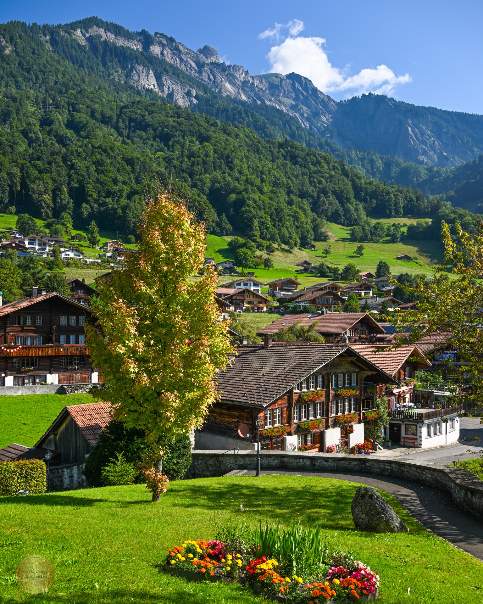 Instagram post by @michelphotographych for Nikon DACH. Caption reads: Even if smartphones can more and more take better....