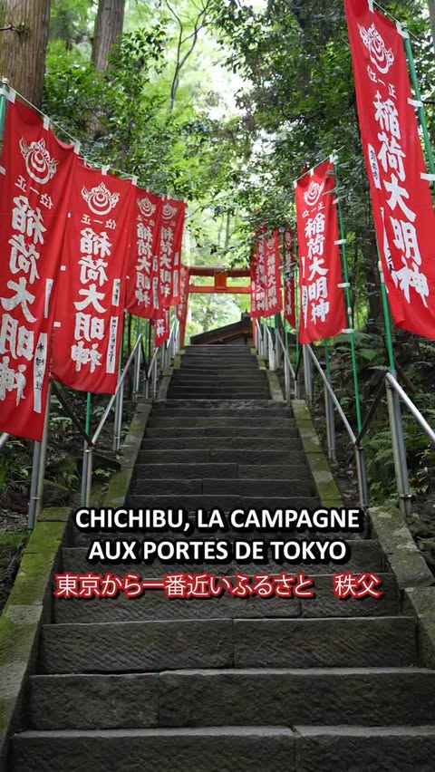 Instagram post by @ichiban_japan for Tokyo Tokyo. Caption reads: 🇫🇷 FR/🇯🇵日本語
Chichibu, la campagne aux portes....