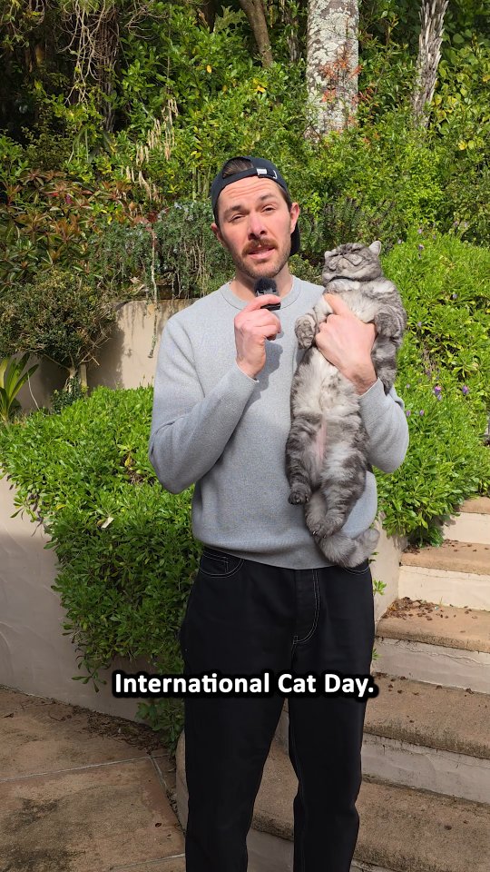 Instagram post by @clintstagramm for Fussy Cat NZ. Caption reads: Happy International Cat Day from Bowie....