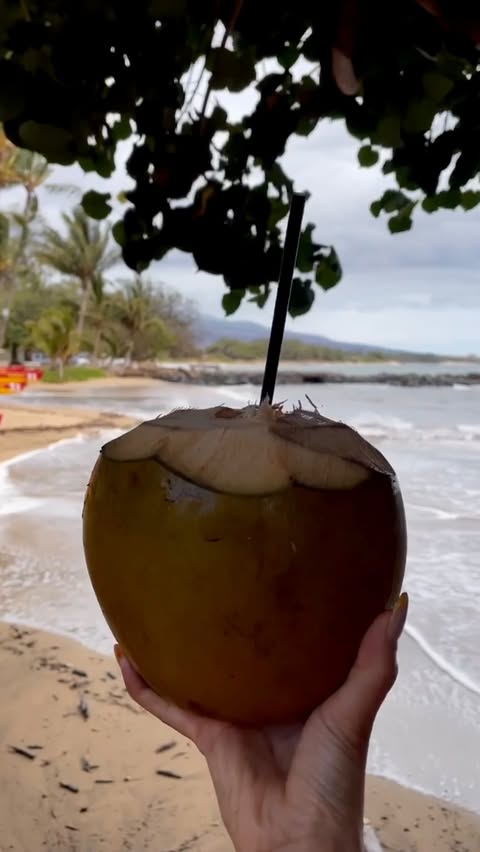 Instagram post by @taramillamena for Laird Superfood. Caption reads: [...] coconut water… trust me on this one....