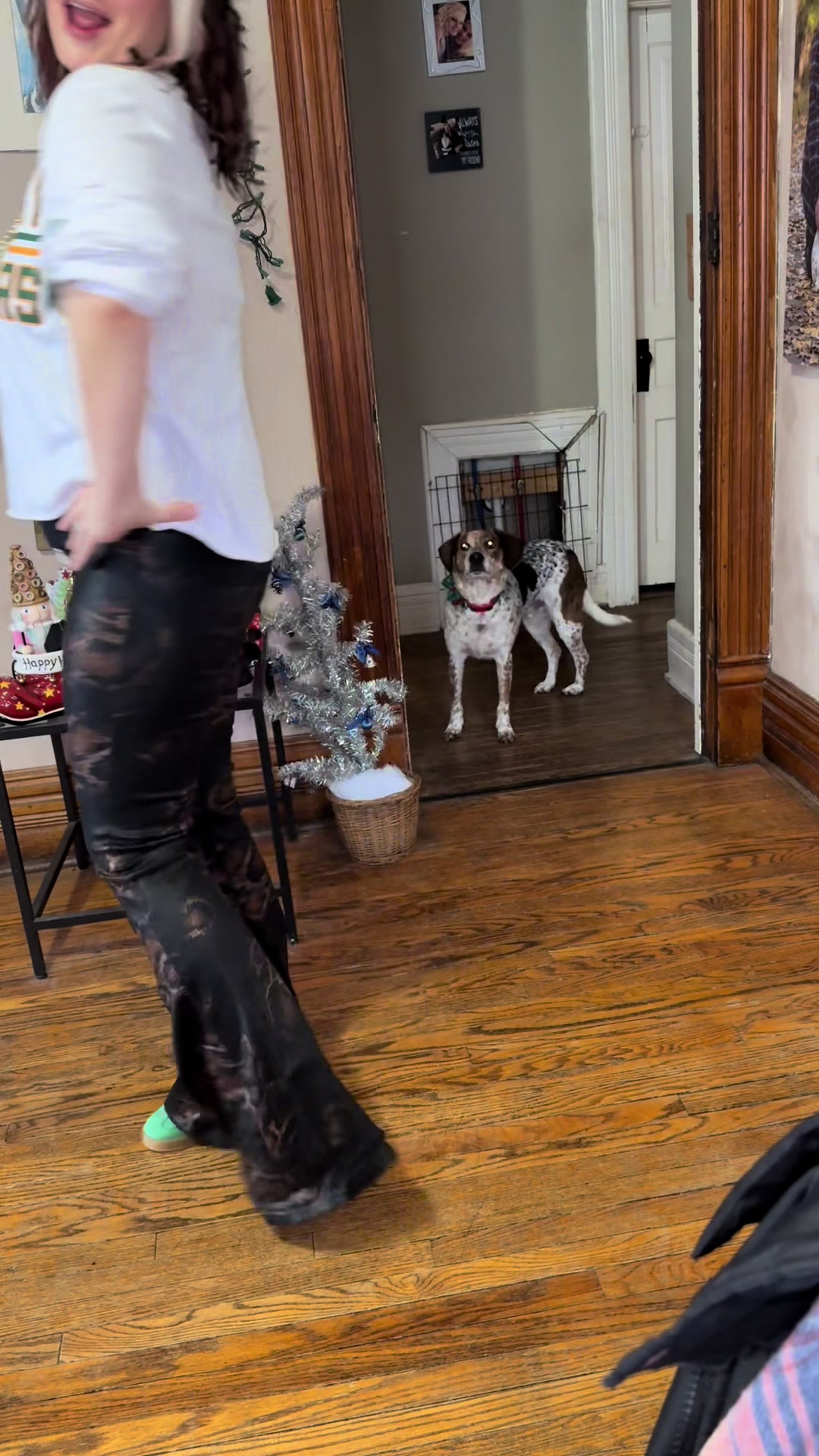 TikTok post by @alexandriawondras for Willow Boutique. Caption reads: @Willow Boutique  Fiona Flares + snake skin vibes....