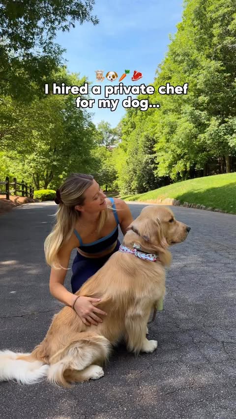 Instagram post by @mygoldenharvey for Chewy. Caption reads: [...] off your first order in my link in bio.....
