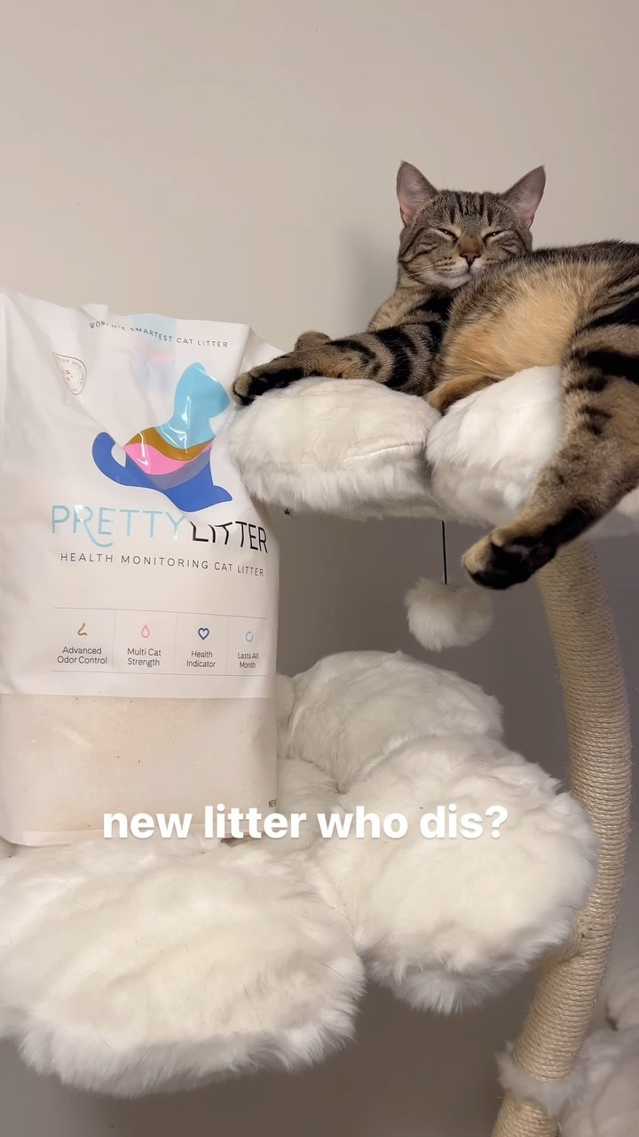 Instagram post by @axlethekittykat for Prettylitter. Caption reads: Axle has been sleeping well since upgrading to....