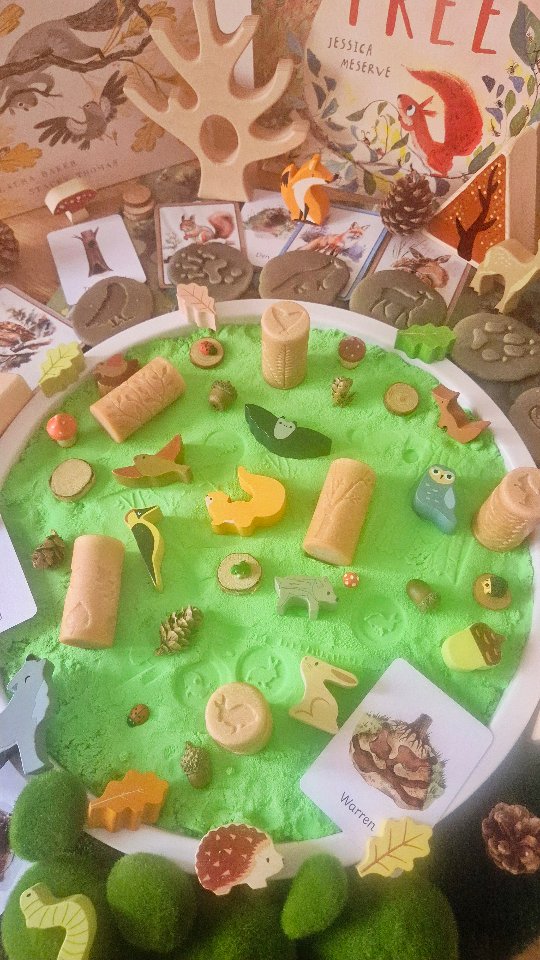 Instagram post by @ourbookishplaydays for Rainbow Eco Play. Caption reads: Ad|Gifted • 🪵 Forest Friends 🪵 Continuing our....