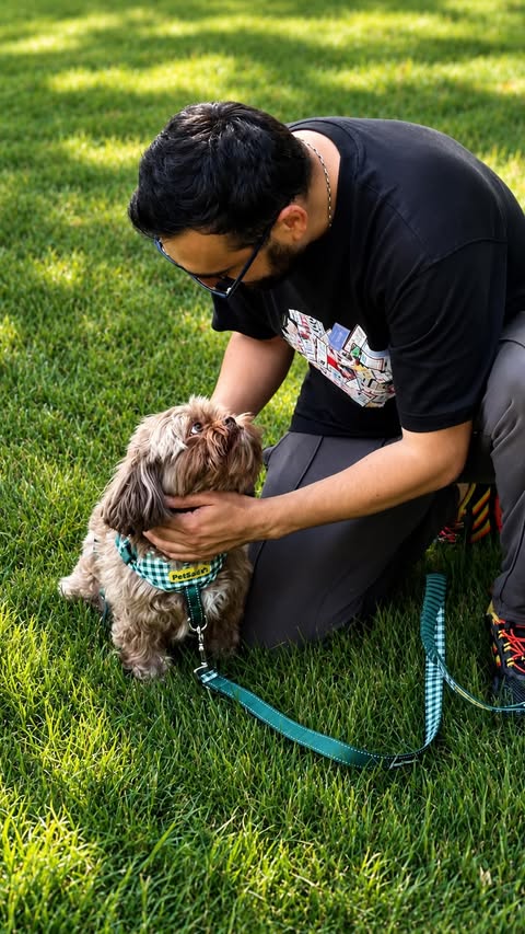 Instagram post by @moni__caa for PetSafe. Caption reads: [...] enjoyable since we started using the PetSafe....
