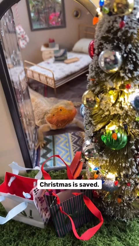 Instagram post by @whosagoodlizard for DoorDash. Caption reads: Betty is officially over shopping 🛍️ but she....