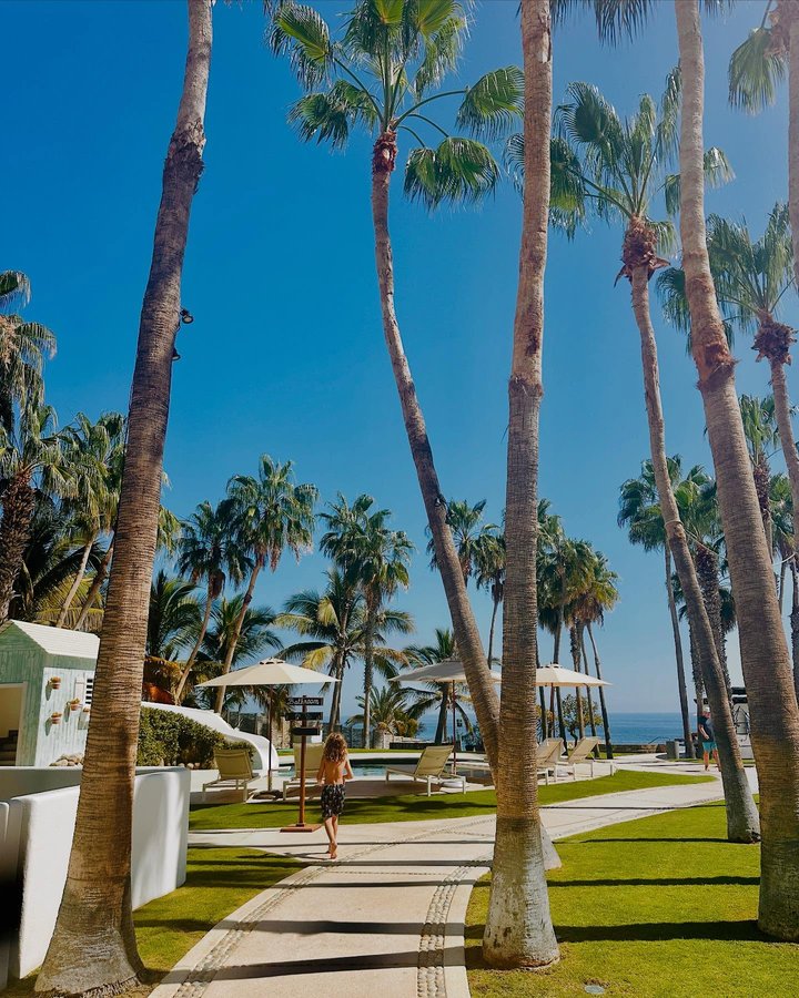 Instagram post by @malibulovinmama for Hilton Hotels & Resorts. Caption reads: When your dreams as family travel creators come....