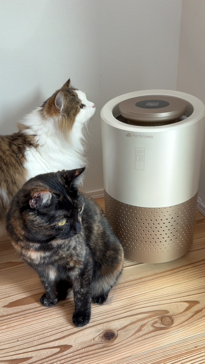 Instagram post by @nikonekokazoku for PetSnowy. Caption reads: [...] 我が家に頼もしいお掃除仲間がやってきました🐈 ＠petsnowy_jp....