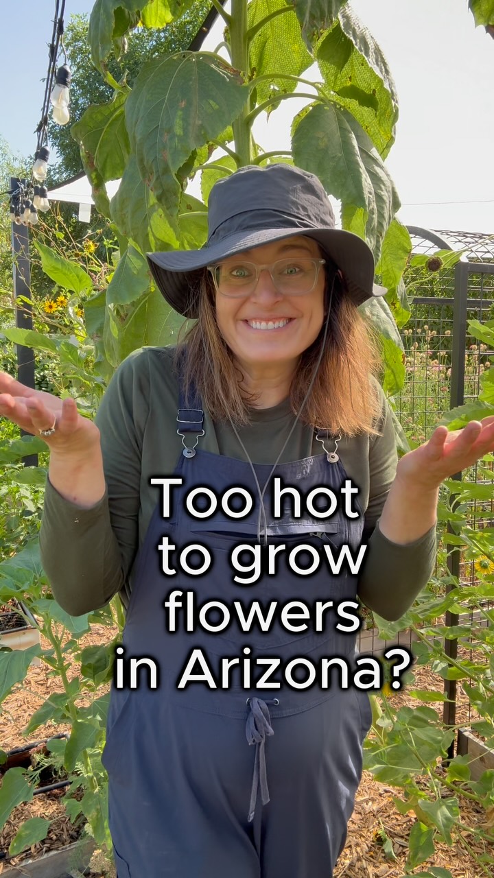 Instagram post by @growing.in.the.garden for Duluth Trading Company. Caption reads: Too hot to grow flowers in Arizona?⠀
Not quite.....