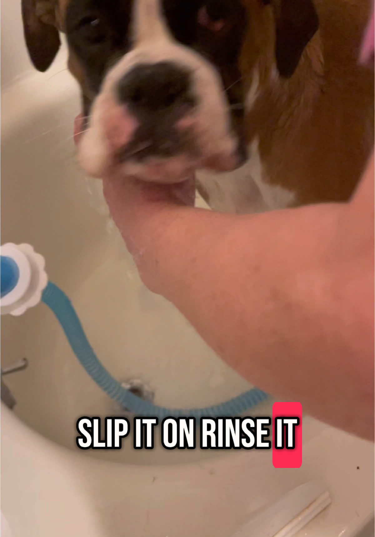 TikTok post by @leroybrownesq for Rinseroo. Caption reads: @Rinseroo™ #rinseroo [...].