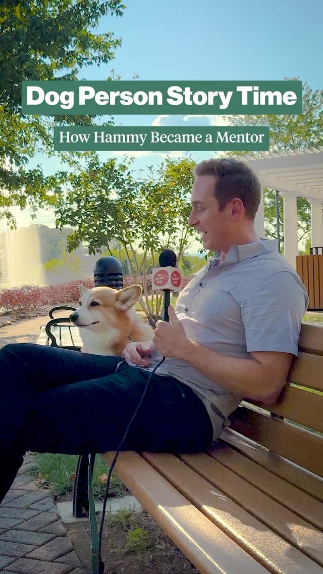 Instagram post by @hammyandolivia for The Farmer's Dog. Caption reads: What makes you a “dog person”?

Dog people are a....