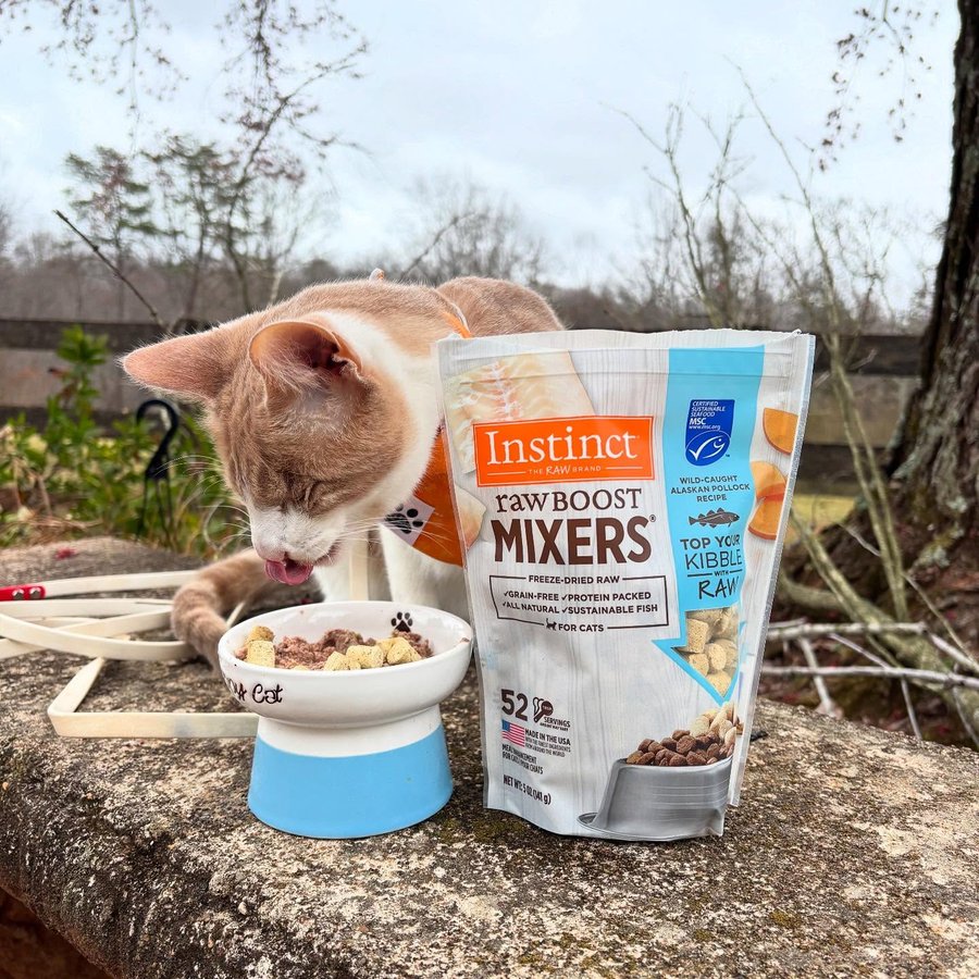 Instagram post by @fantastic.mr.fawkes for Instinct Pet Food. Caption reads: [...] picky he can be! Luckily, we have....