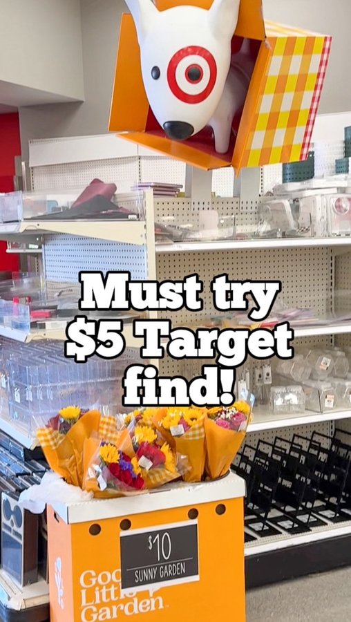 Instagram post by @targettakesmypaycheck for Hempz. Caption reads: (#AD) Sharing a $5 Target find you can't miss!....