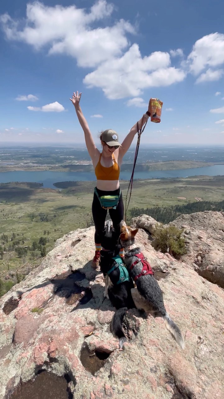 Instagram post by @let.there.be.lux for Earthborn Holistic Pet Food. Caption reads: From deserts to oceans to mountaintops - wherever....