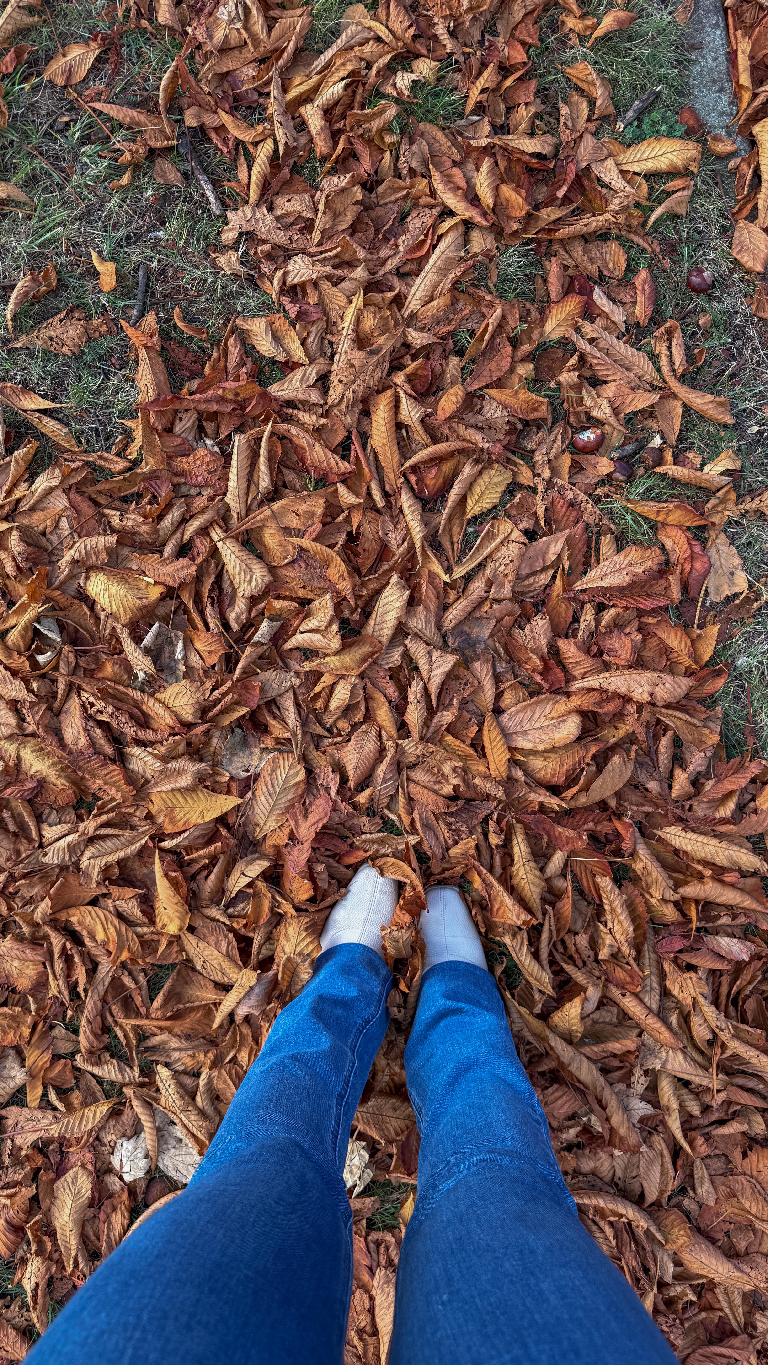 Instagram post by @v.noneva for Rebellious Fashion. Caption reads: A moment for the dress!! 🖤 @rebelliousfashion....