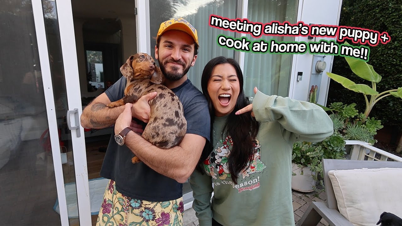 YouTube post by @RemLife for Simon & Schuster. Caption reads: MEETING ALISHA'S NEW PUPPY + Cook At Home With....