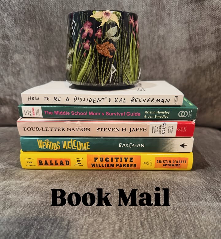 Instagram post by @janeb.reads for Simon & Schuster. Caption reads: 📬𝔹𝕠𝕠𝕜 𝕄𝕒𝕚𝕝📬 Thank you so much to the....