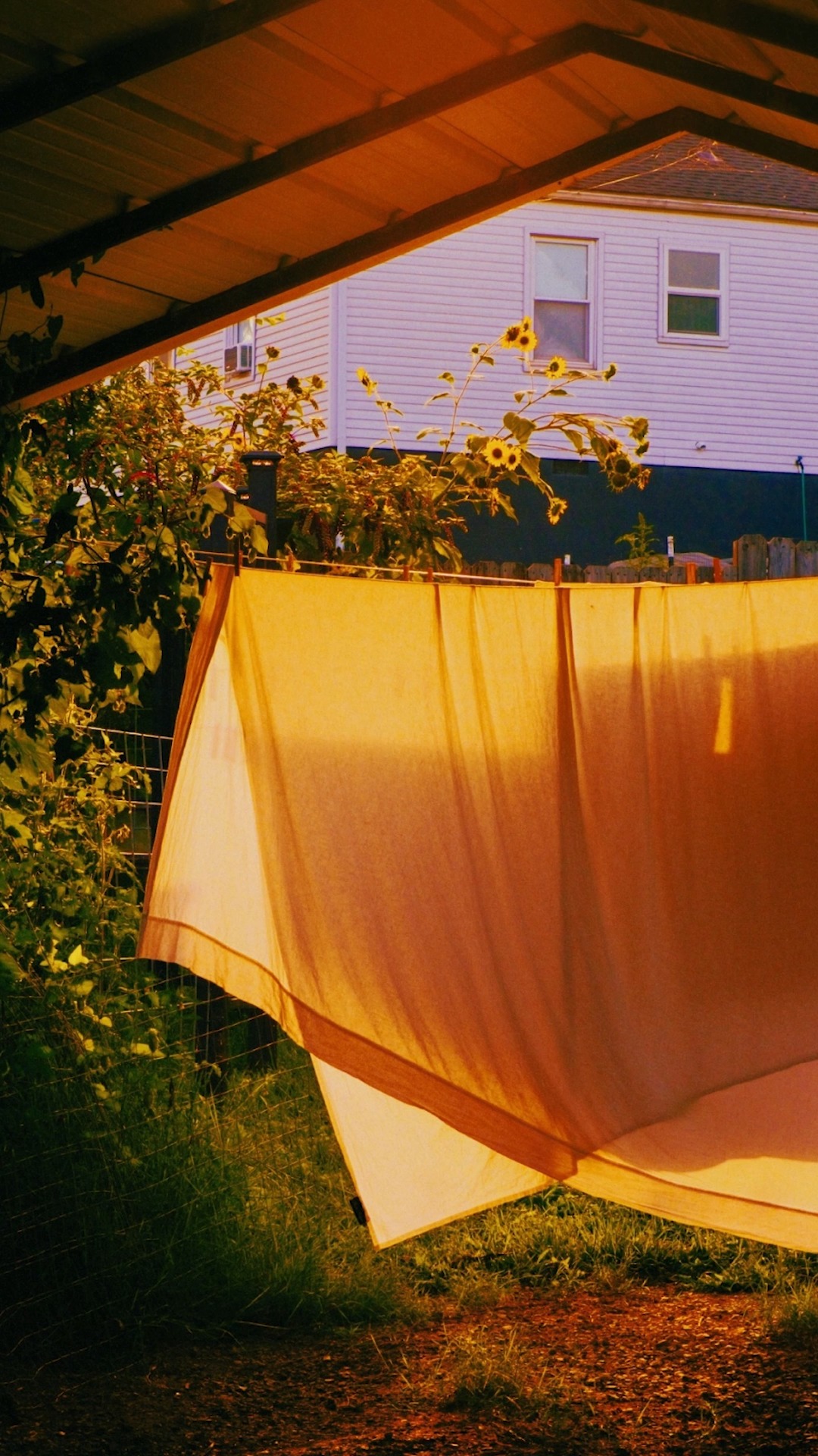 Instagram post by @jonfeinstein for Vsco. Caption reads: More Than a Photo brought together Tess Burris....