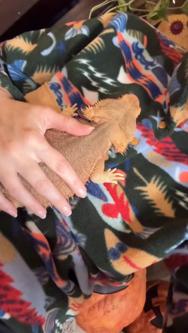 Instagram post by @whosagoodlizard for Patagonia. Caption reads: Bought it before it was cool. Now I’m the trend.....