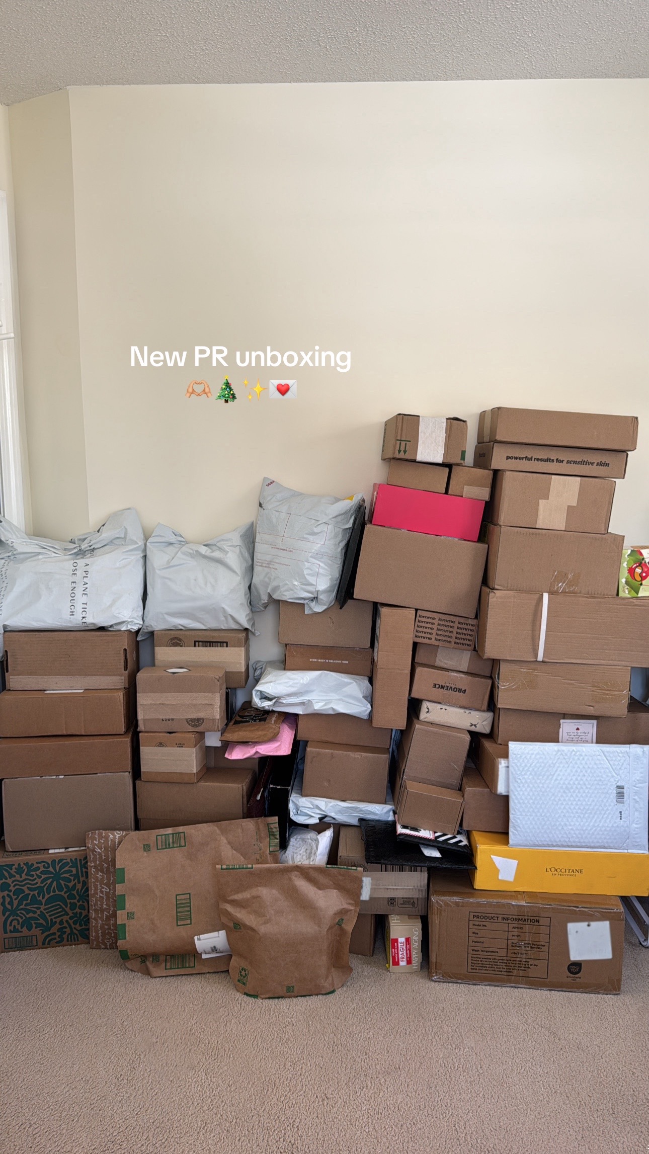 TikTok post by @l0vemarisa for Saltair. Caption reads: Thank you always xx #prunboxing #pr #unboxingpr....