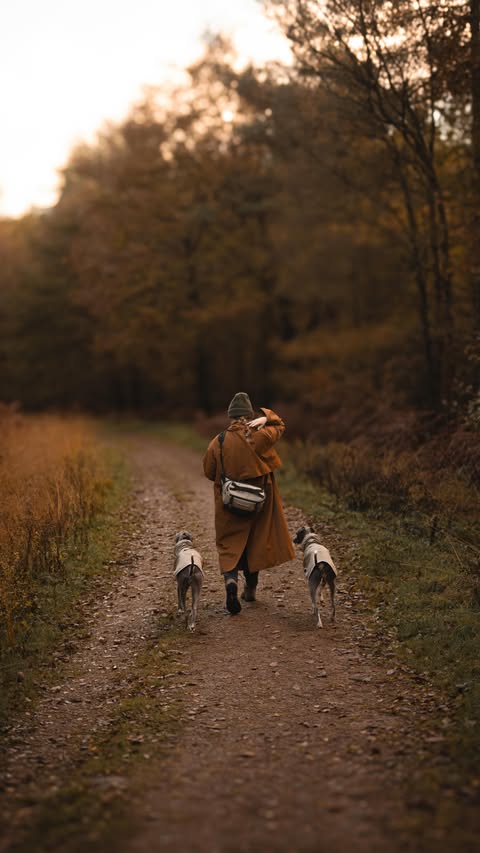 Instagram post by @ourlittlewhippetlife_ for Forthglade. Caption reads: [...] the treats in our pockets, thanks to....