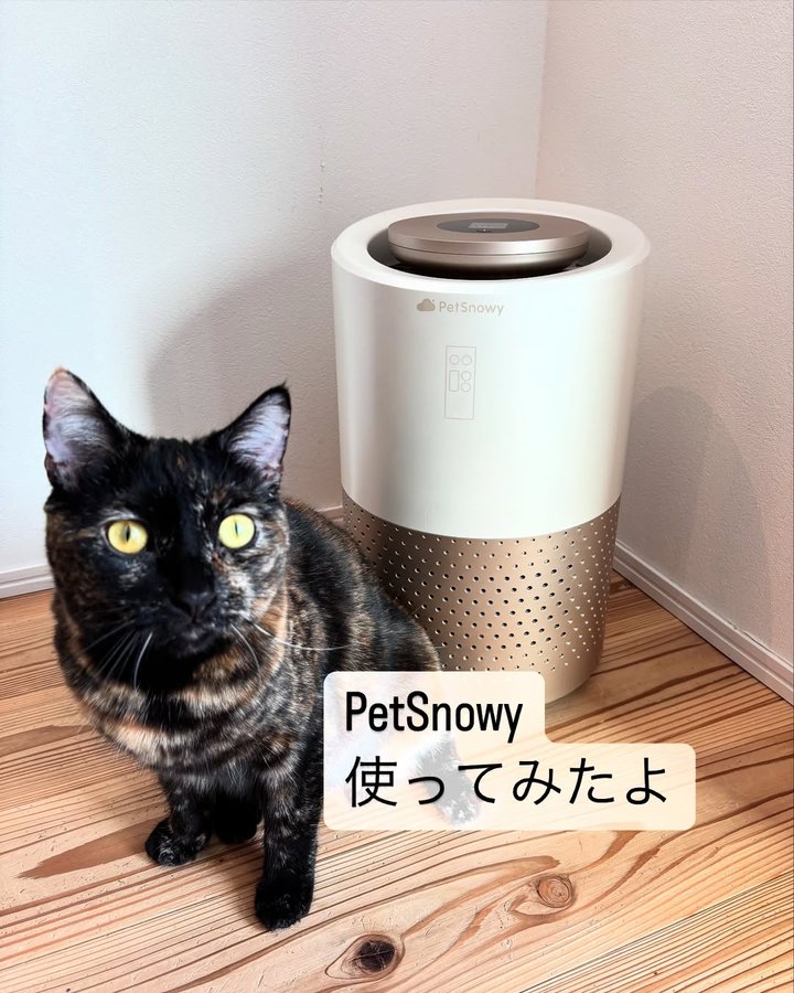 Instagram post by @nikonekokazoku for PetSnowy. Caption reads: [...] 皆さんもチェックしてみて下さいね🐈 @petsnowy_jp....