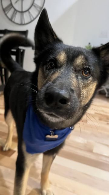 Instagram post by @kassidycook13 for Parity. Caption reads: Thank you, Cooper! Appreciate you and everything....