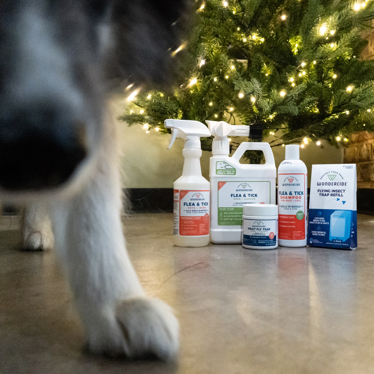 Instagram post by @naturalstatehuskies for Wondercide. Caption reads: [...] the Christmas tree this year! ✨🎄....