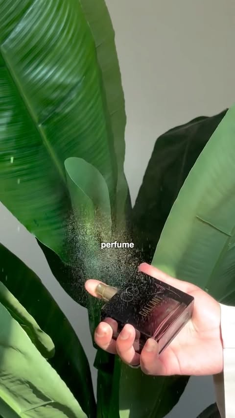 Instagram post by @umarsyre for OG Beauty. Caption reads: POV: When 1 perfume goes with every look you....