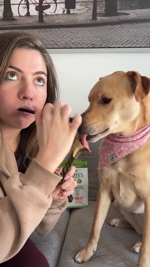 Instagram post by @tortelliniandalfredo for Wellness Pet Food. Caption reads: [...] You can find WHIMZEES Brushzees at....