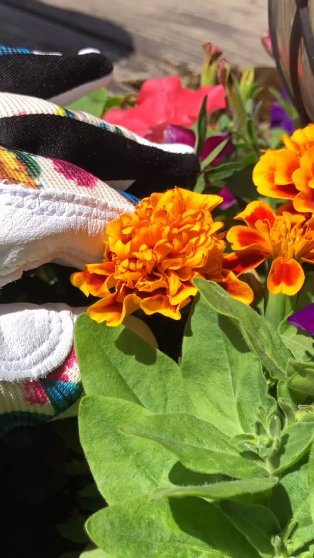 Instagram post by @hayyyfarms for Farmers Defense. Caption reads: [...] 🌱 Super cute gardening gloves from....