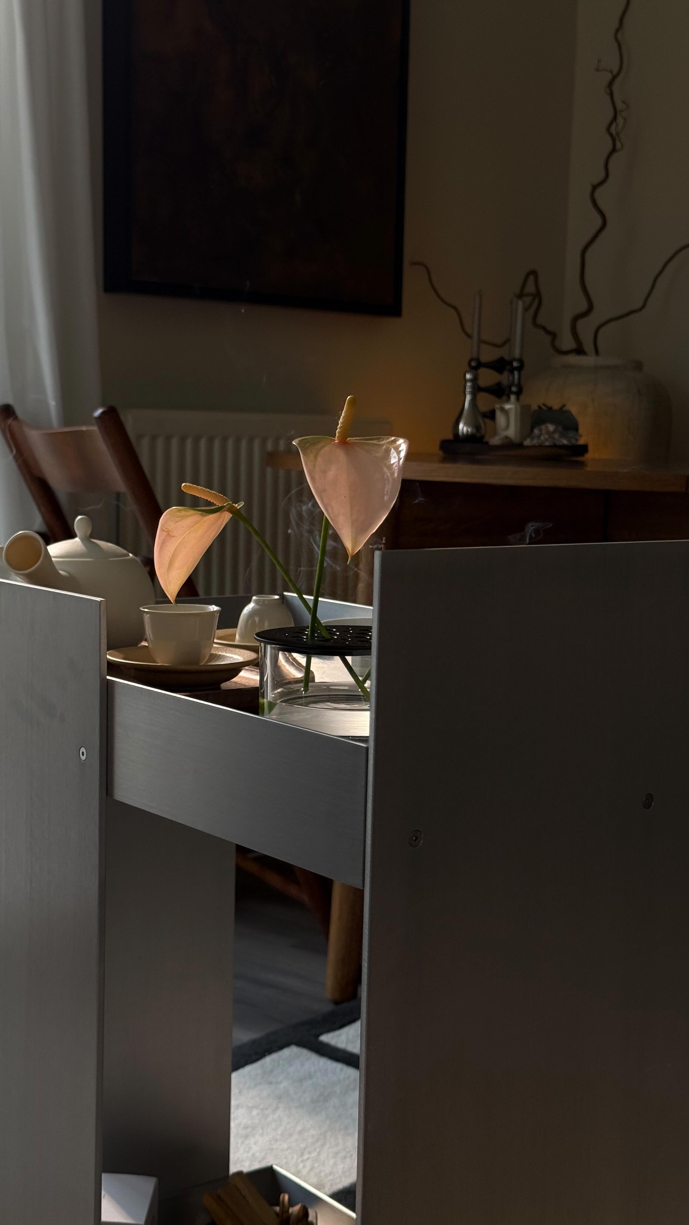 Instagram post by @taros__house for ferm LIVING. Caption reads: Starting the post holiday recovery phase with a....