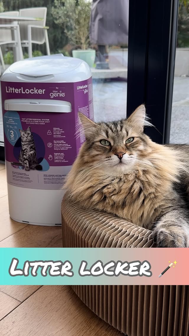 Instagram post by @spoilt.sibs for Litter Genie. Caption reads: [...] floof litter cleaning has been with....