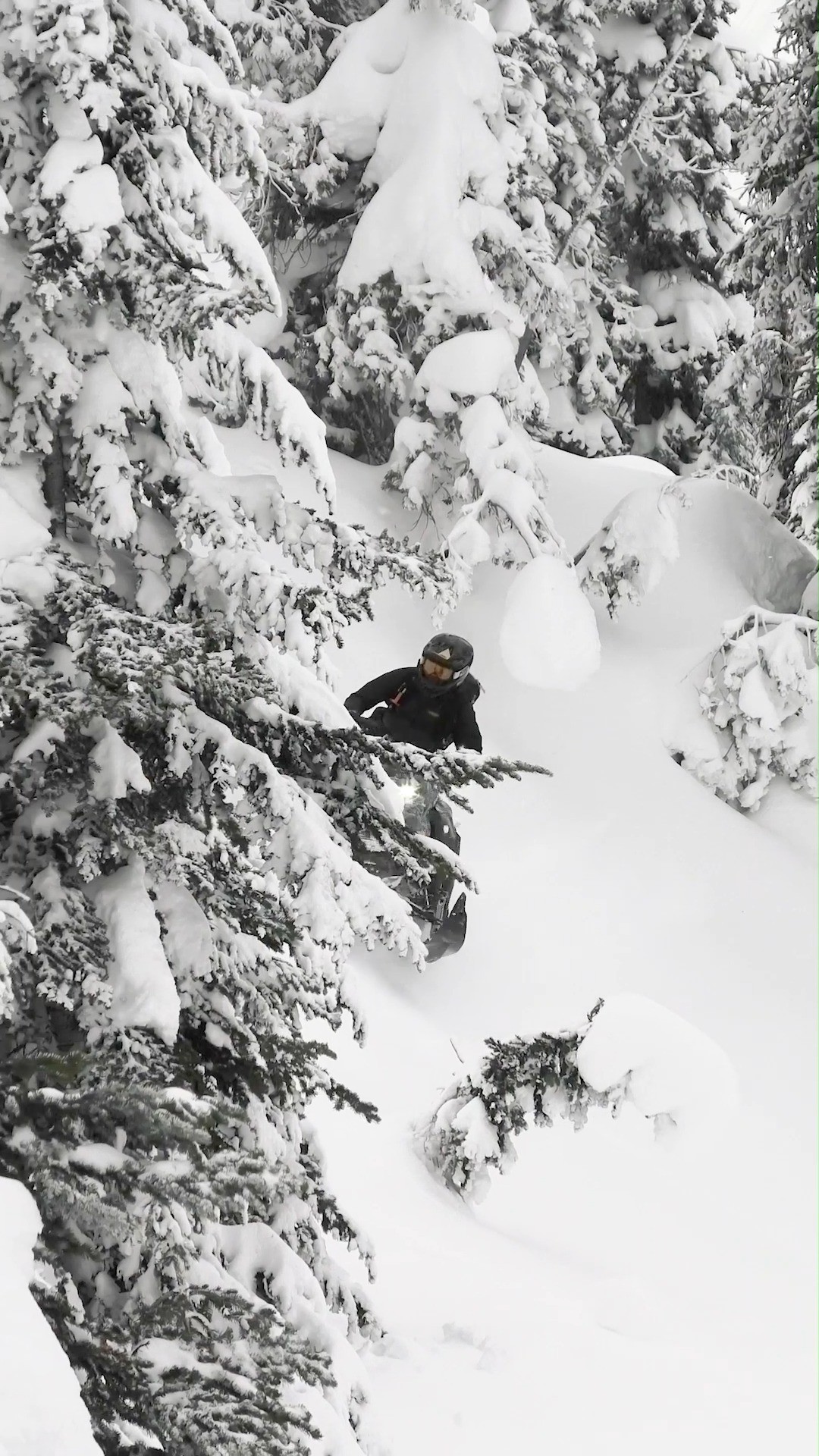 Instagram post by @jaymentaberry411 for Ski-Doo. Caption reads: “Tony Hawk’d off that tree.”

Some of the sickest....