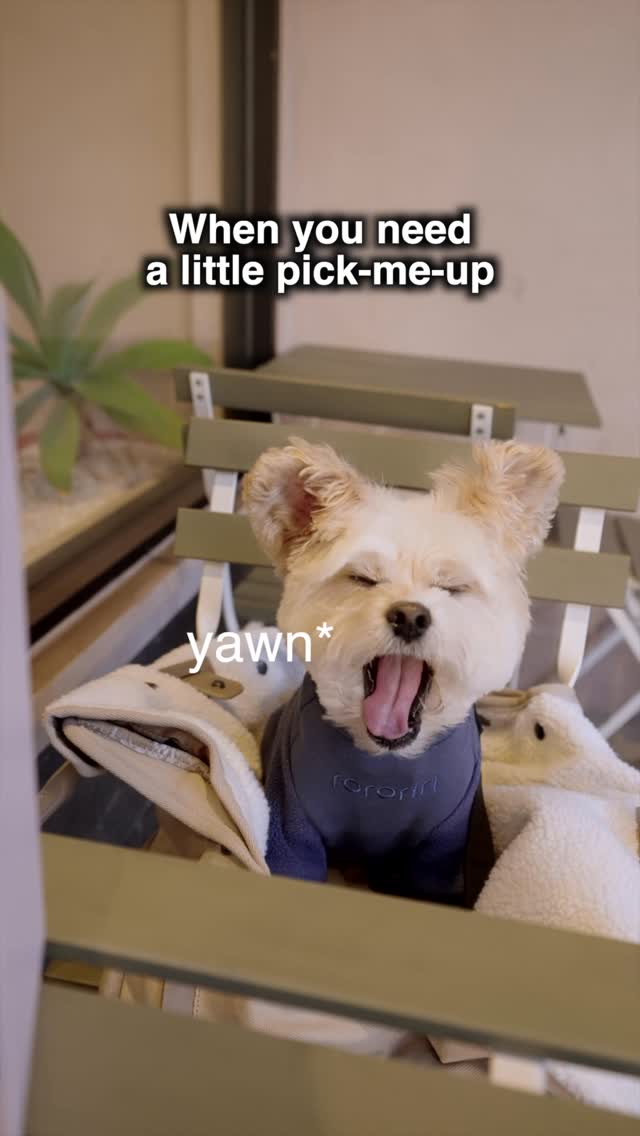 Instagram post by @popeyethefoodie for Ciarra Appliances. Caption reads: Thank you to @ciarraappliances for inviting us out....