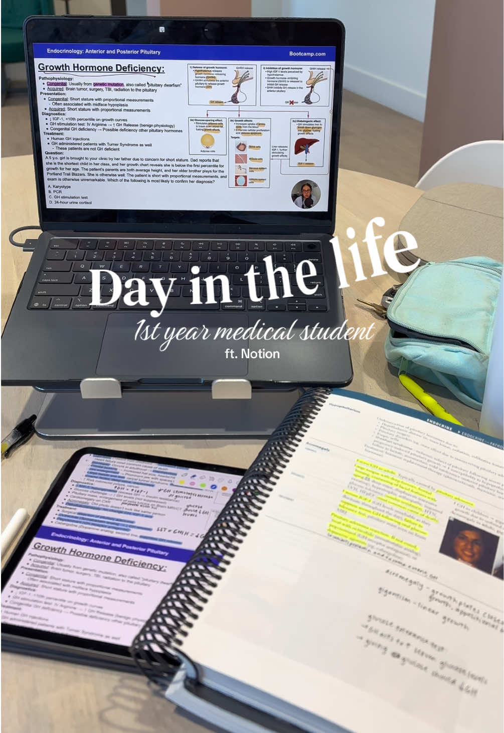 TikTok post by @brookeventer444 for Notion. Caption reads: [...] med preceptorship + endocrine block!!!!....