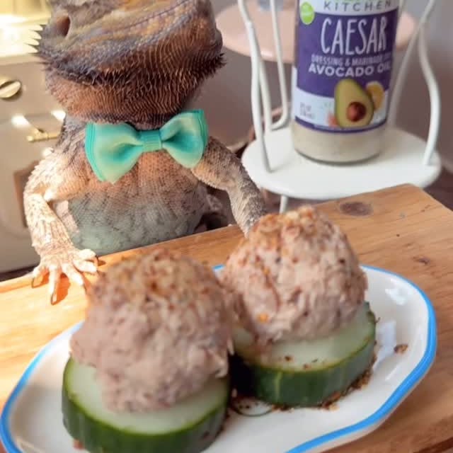 Instagram post by an influencer for Primal Kitchen. Caption reads: [...] coins • Mix tuna with @primalkitchenfoods....