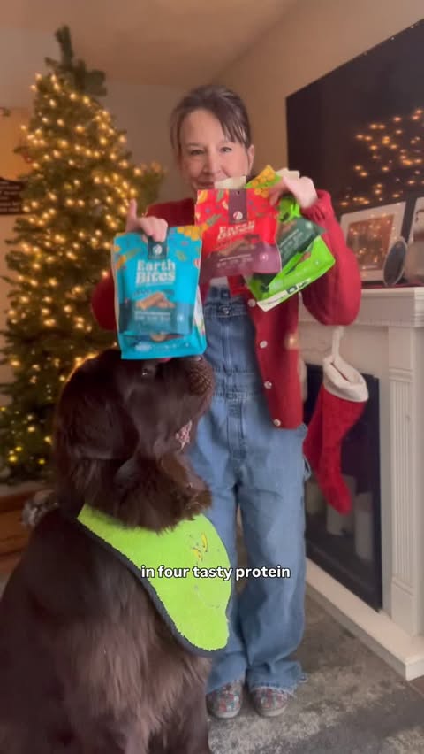 Instagram post by @mybrownnewfies for Earthborn Holistic Pet Food. Caption reads: #sponsored The stockings are hung and fully....