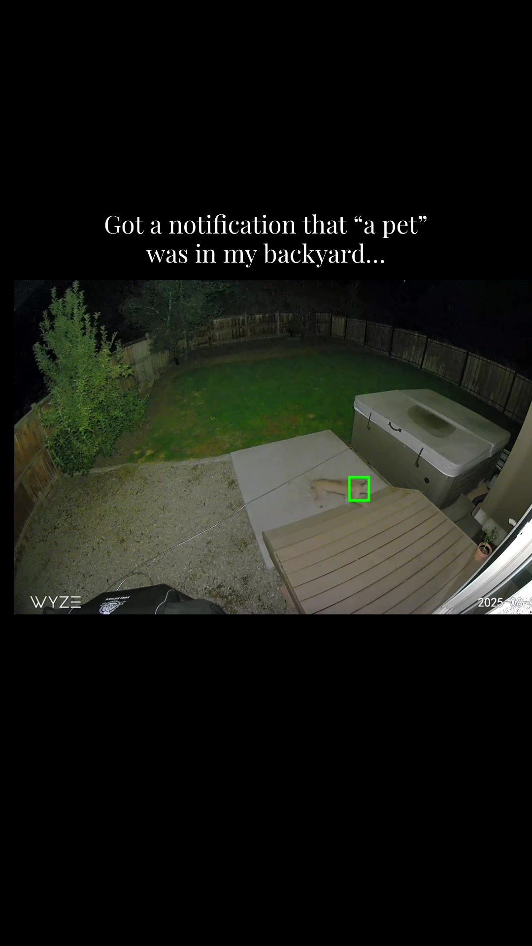 TikTok post by @mountain.dwelling.dogmom for Wyze. Caption reads: @Wyze saved my chickens! I got a camera [...].